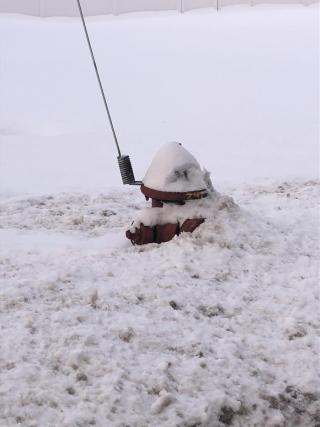 Fire Hydrant Buried in Snow 