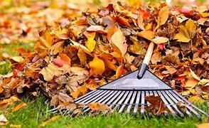 Loose Fall Leaves