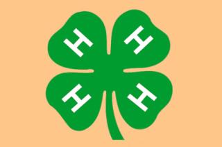 4-H Youth Development