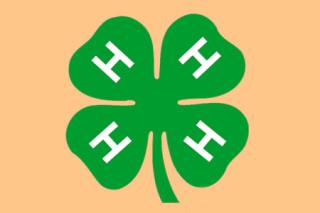 4-H Youth Development