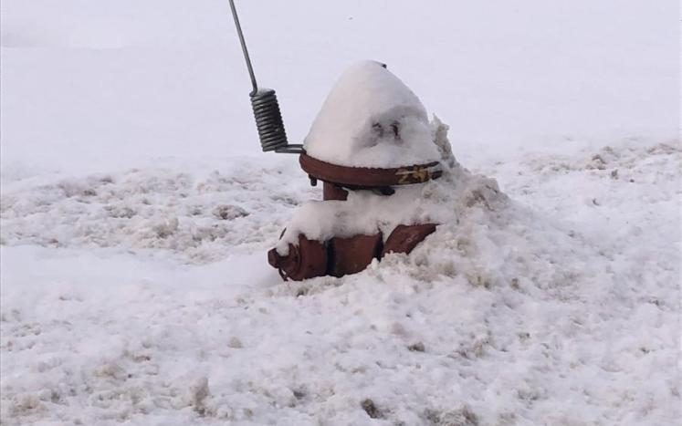 Fire Hydrant Buried in Snow 