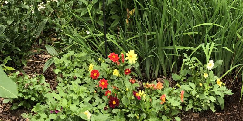 Village of Ballston Spa House and Garden Club 