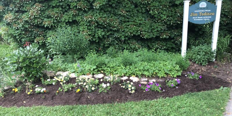 Tedisco Trail Garden 